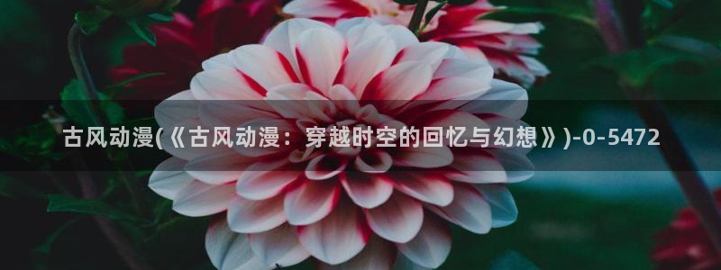 动漫av:古风动漫(《古风动漫:穿越时空的回忆与幻想》)